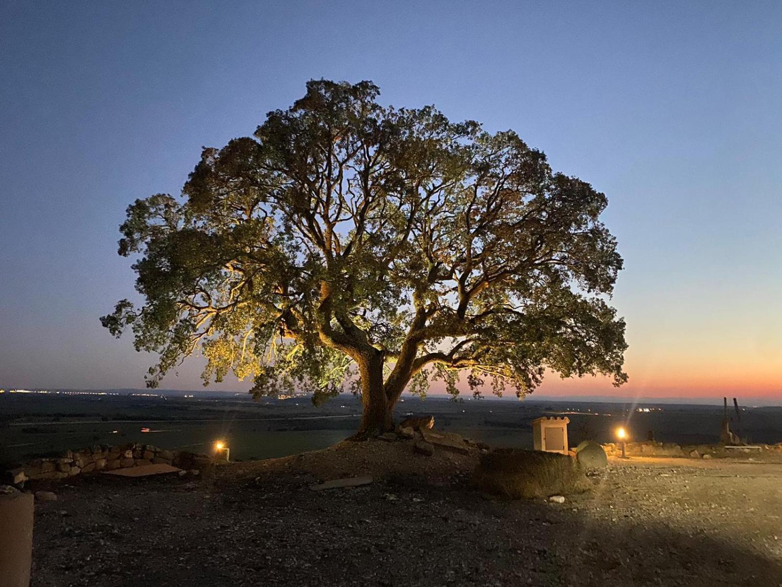 Masia De Queralt Luxury Casa Rural Spa Y Vistas Concabella المظهر الخارجي الصورة
