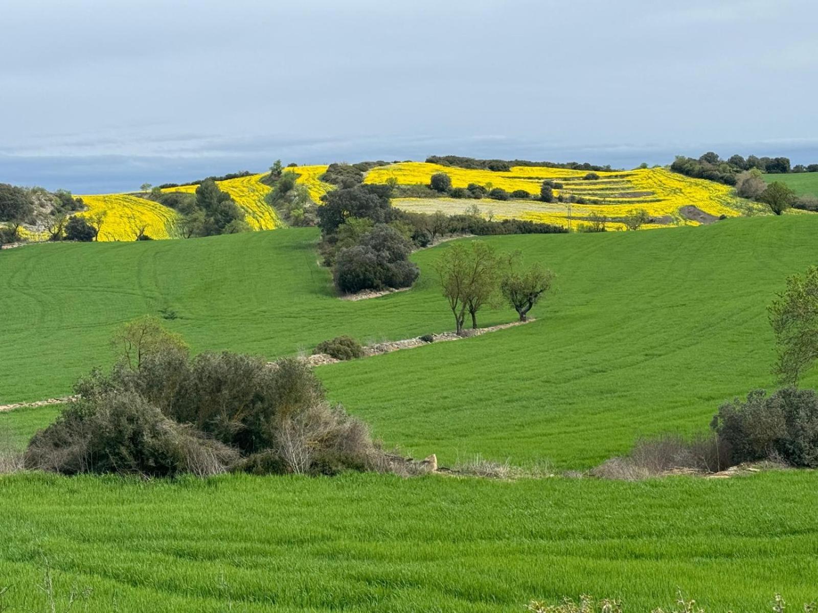 Masia De Queralt Luxury Casa Rural Spa Y Vistas Concabella المظهر الخارجي الصورة