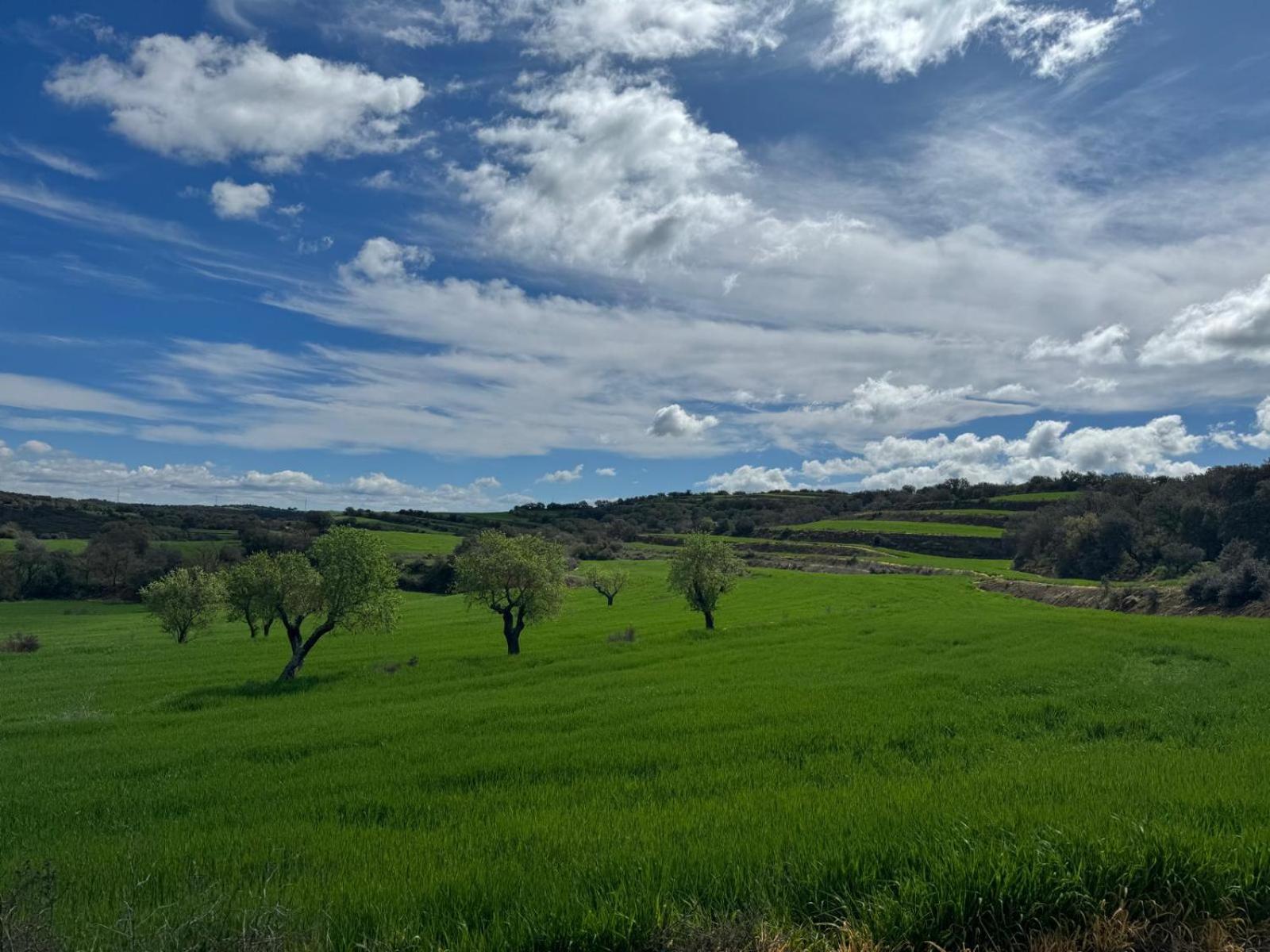 Masia De Queralt Luxury Casa Rural Spa Y Vistas Concabella المظهر الخارجي الصورة